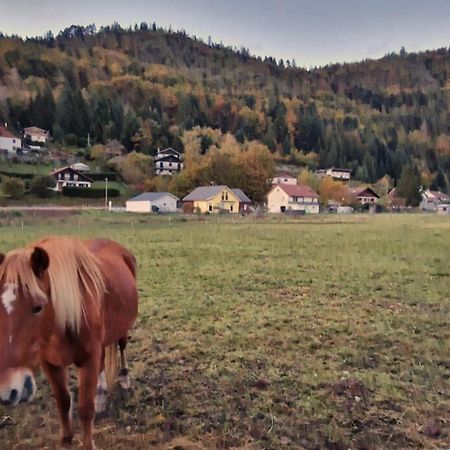 Le Vivaldi, Au Coeur Du Massif Vosgien Avec Terrain De Petanque Villa Rochesson Eksteriør billede