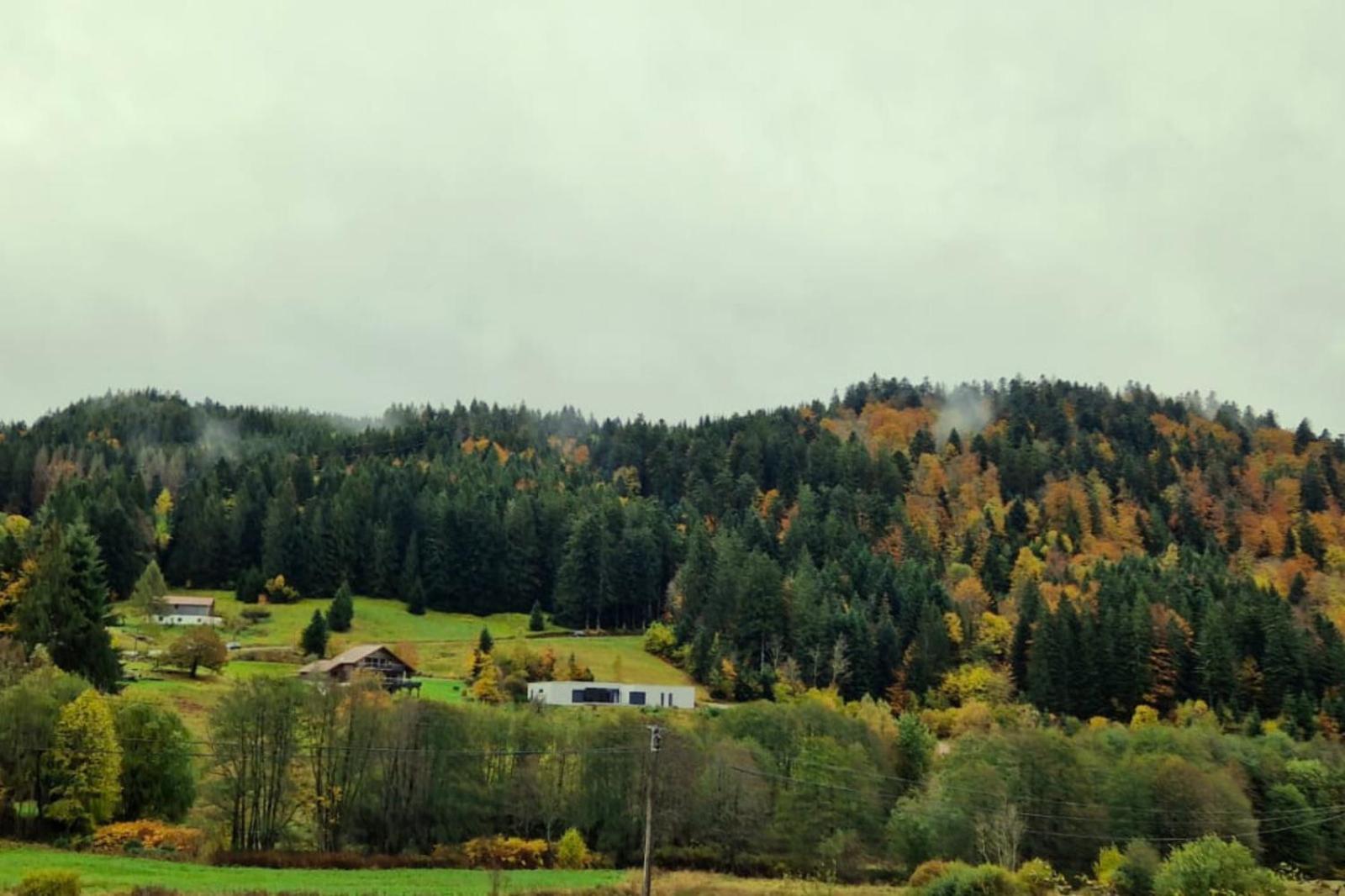 Le Vivaldi, Au Coeur Du Massif Vosgien Avec Terrain De Petanque Villa Rochesson Eksteriør billede